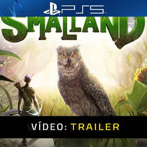 SMALLAND PS5 - Atrelado de Vídeo