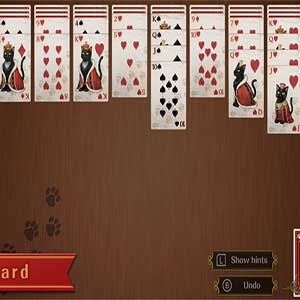 Spider Solitaire F
