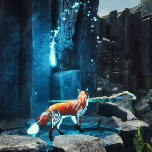 Spirit of the North - Raposa Espiritual