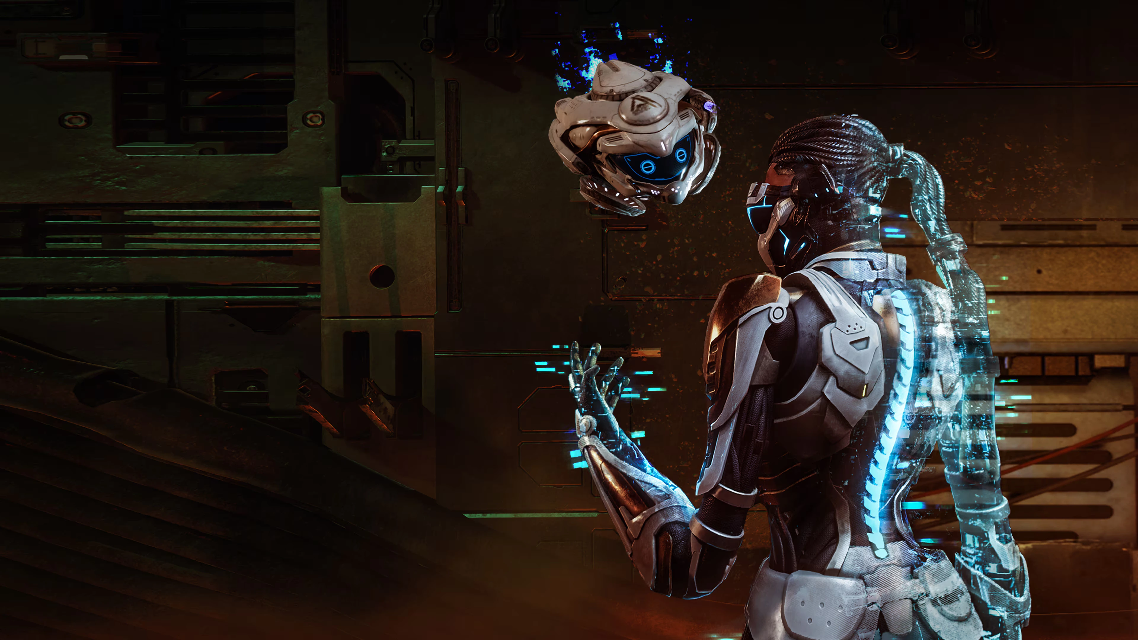 Steel Seed Release Date