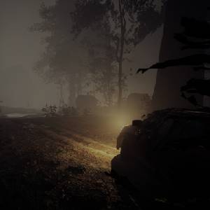 Surrounded - Bosque