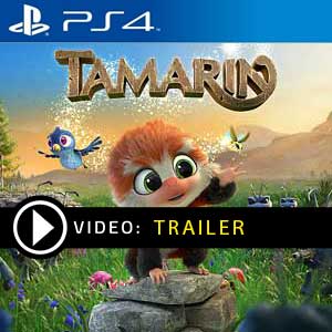 Comprar Tamarin PS4 Comparar Preços