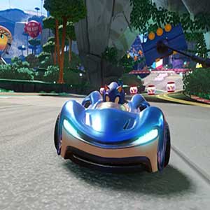 Team Sonic Racing Sonic o Porco Espinho