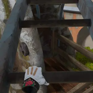 The Amusement VR - Classificação