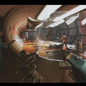 The Anacrusis Granada de Escudo