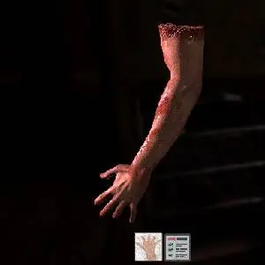 The Black Within - Braço Humano