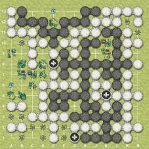 The Conquest of Go - Ezario