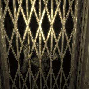 The DOOR