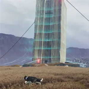 The Free Shepherd - Estrutura