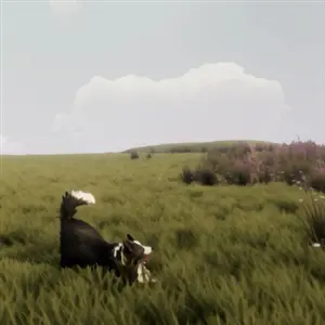 The Free Shepherd - Cachorro