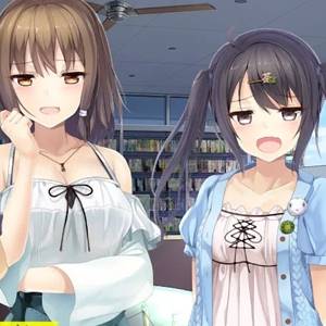 The Future Radio and the Artificial Pigeons - Mizuki