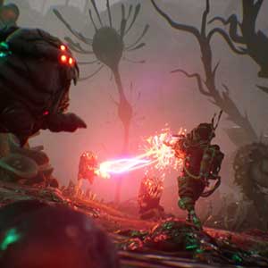 The Gunk Besta De Gunk