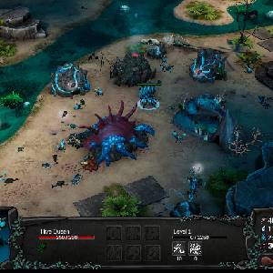 The Hive - Colmeia Rainha