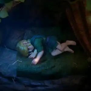 The Legend of Zelda: Ocarina of Time - Dormindo