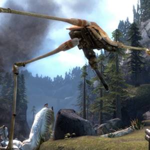 The Orange Box - Peregrino