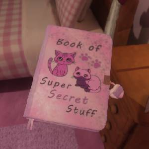 The Quiet Things - Diário