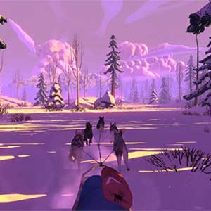 equipa de trenós de cães