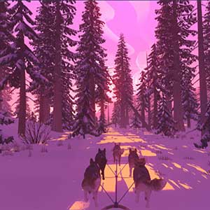 sobreviver ao deserto