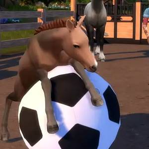 The Sims 4 Horse Ranch Expansion Pack Potro