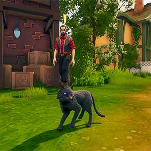 The Witch of Fern Island - Familiar do gato