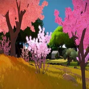 The Witness - Floresce
