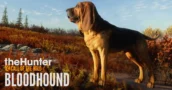 theHunter - Call of the Wild | Desenvolvendo o Bloodhound