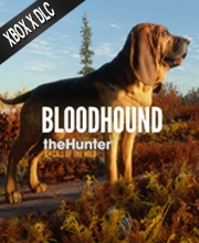 theHunter Call of the Wild Bloodhound Xbox Series X
