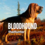 theHunter – Call of the Wild | Desenvolvendo o Bloodhound