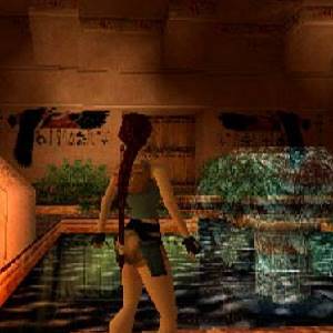 Tomb Raider 5 Chronicles - Fonte