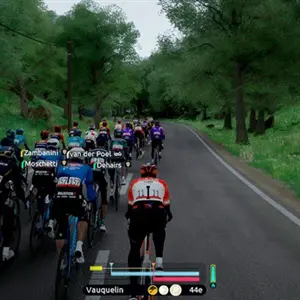 Tour de France 2026 - Floresta Verde