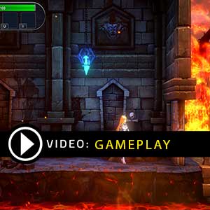 Tower Hunter Erza's Trial Gameplay Video