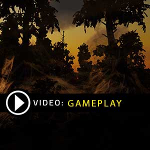 Trials of Ascension Exile Gameplay Video