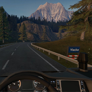 Truck Driver - Estrada