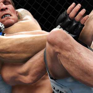 Clinch To Ground Fighting