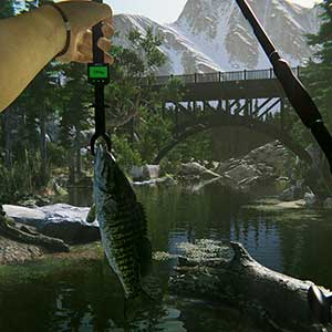 Ultimate Fishing Simulator 2 - Peixe Baixo