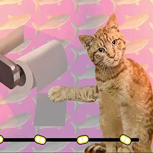 Ultra Mega Xtra Party Challenge - Papel higiénico desenrolador de gatos