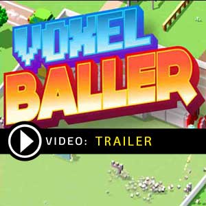 Comprar Voxel Baller CD Key Comparar Preços