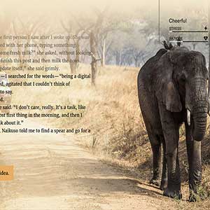 Wanderlust Travel Stories