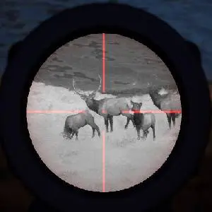 Way of the Hunter - Night Hunting Pack - Mira de Rifle