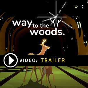 Comprar Way to Woods CD Key Comparar Preços