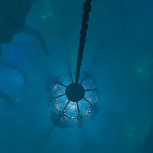 We Were Here Series Bundle - Câmara de mergulho