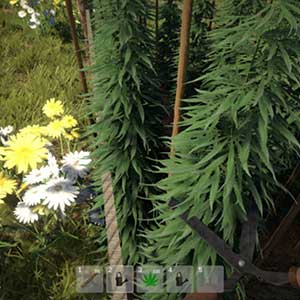 produtor de ervas daninhas