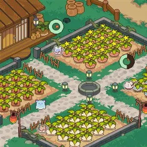 Whimsy Bake&Craft - Agricultura