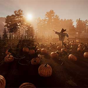 Wild West Dynasty - Campo de Abóbora