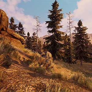 Will To Live Online - Floresta Morta