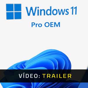 Windows 11 Pro OEM Atrelado De Vídeo