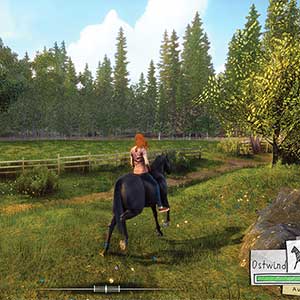 quickly befriends Windstorm