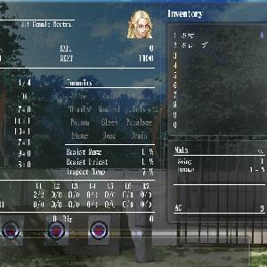 Wizardry: The Five Ordeals - Elfo