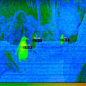 Zoochosis - Modo Temporário